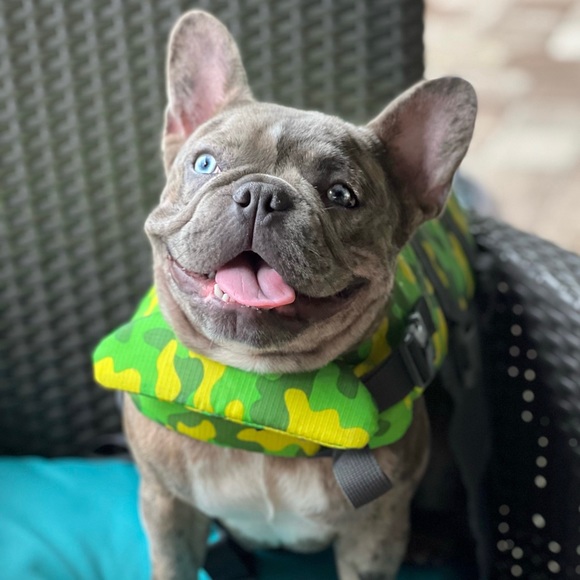 GET $10 OFF ANY PURCHASE! Use Code(RICHDRIP87) - Picture 1 of 1